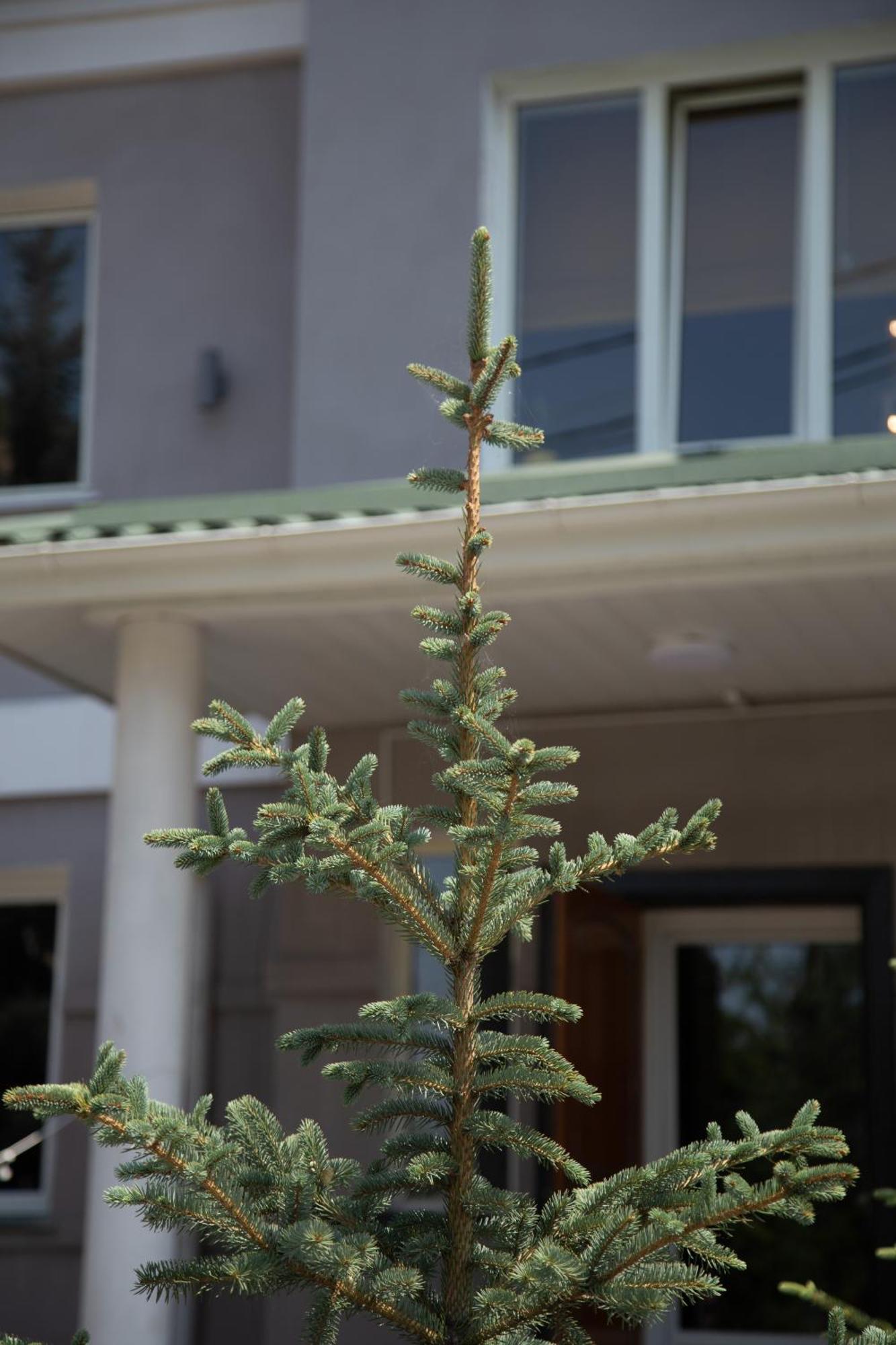 People Guest House Bishkek Exterior foto